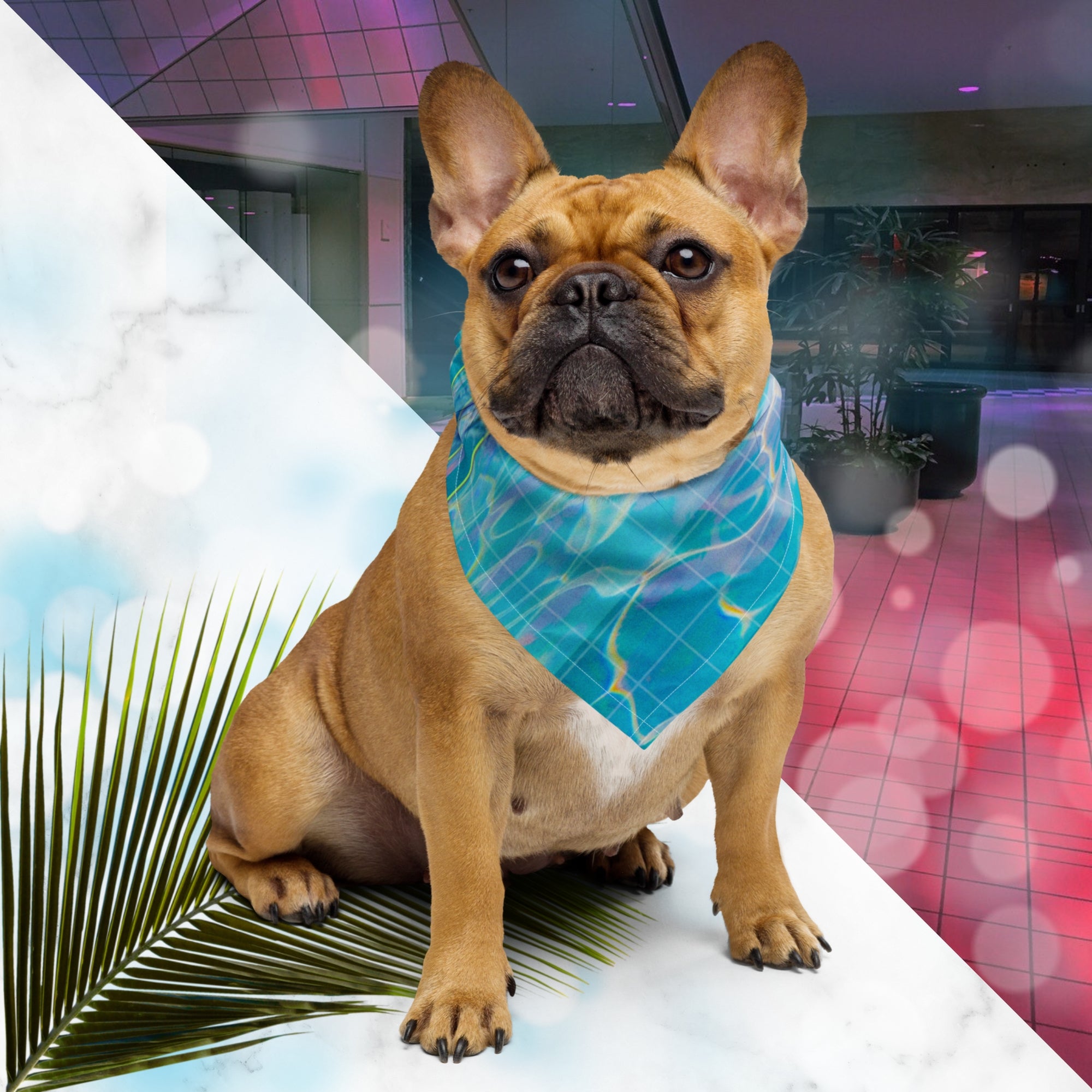 A French Bulldog wearing full color all over print track jacket depicting blue water reflecting the colors of the sunset in oranges and pinks intensifying towards the top overlayed with a transparent thin white grid with tropical plant silhouettes of tropical plants creating stripe effects on sleeves with Neon Pools vaporwave sun emblem on left chest area